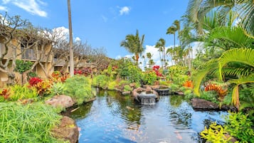 A tropical garden with a pond, palm trees, and a building with balconies.