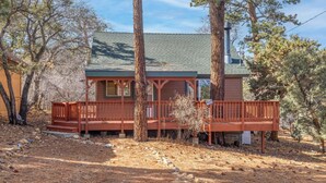 A cabin with a porch, surrounded by trees. - Bear Den|Jacuzzi, AC, Steps from trails, Dogs OK! (Big Bear)