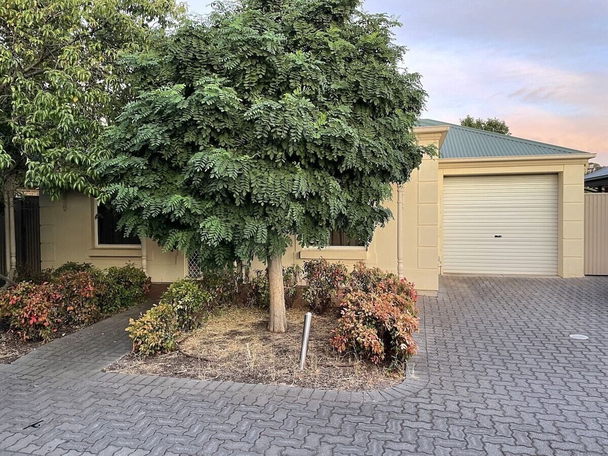 Imagen de perfil del propietario o de la propietaria