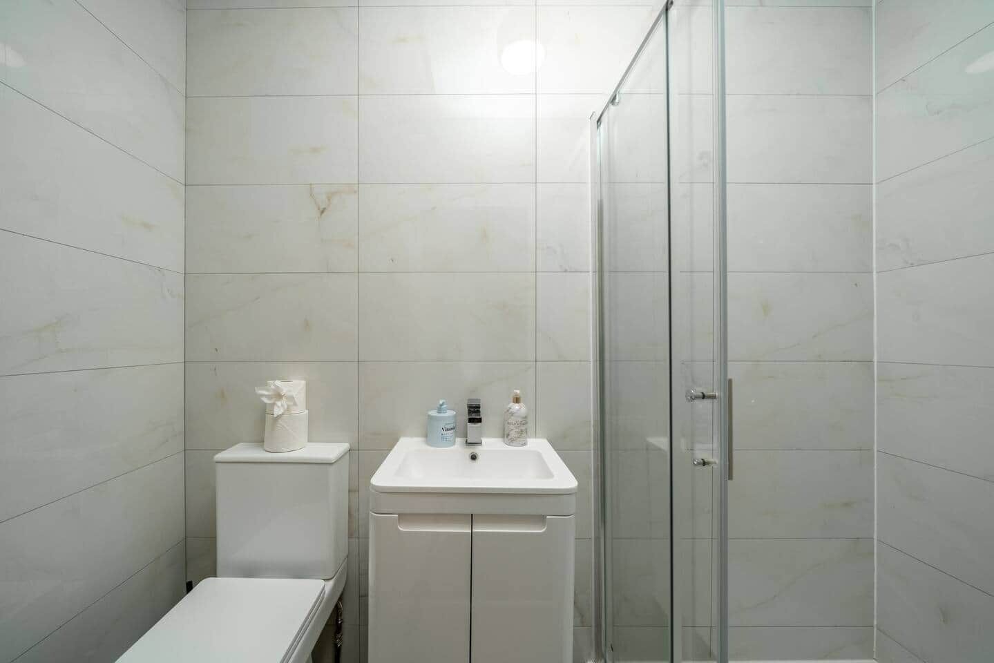 Hair dryer, soap, toilet paper
