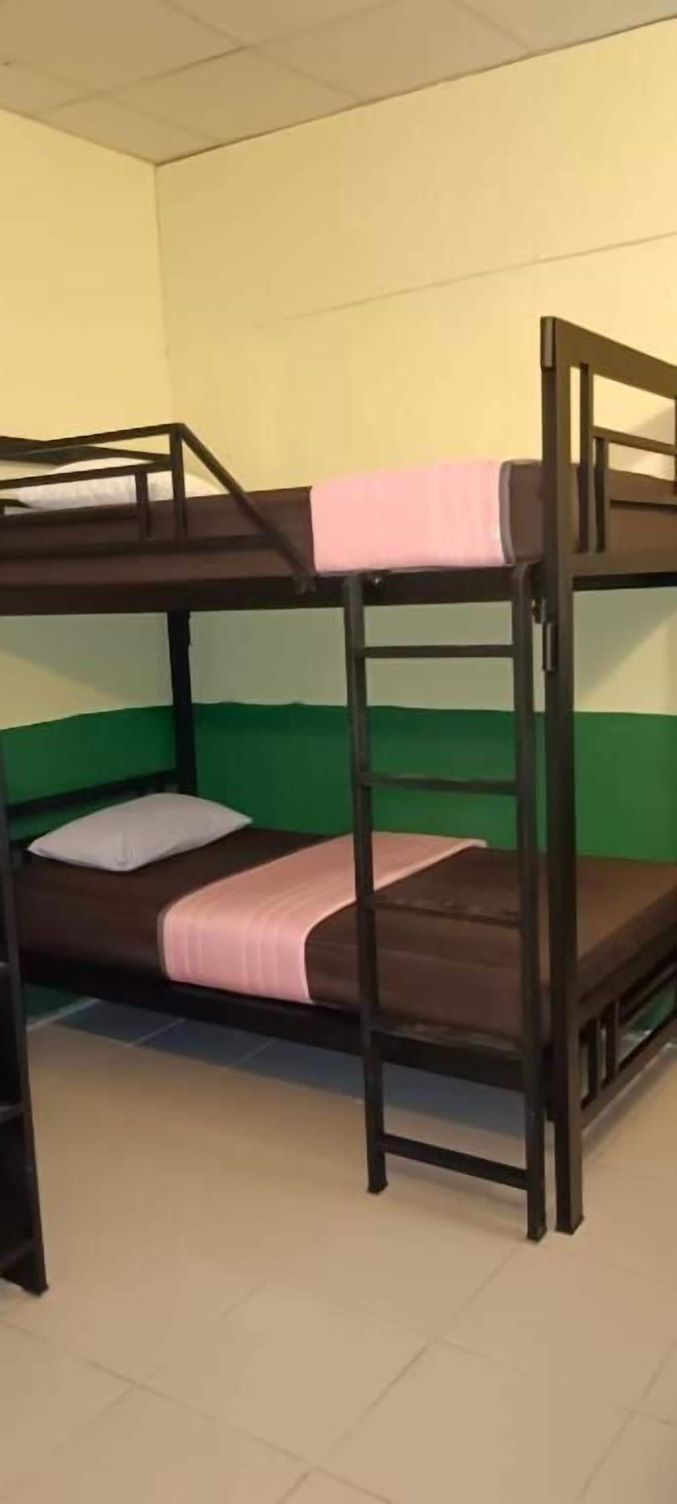 واي فاي مجانًا