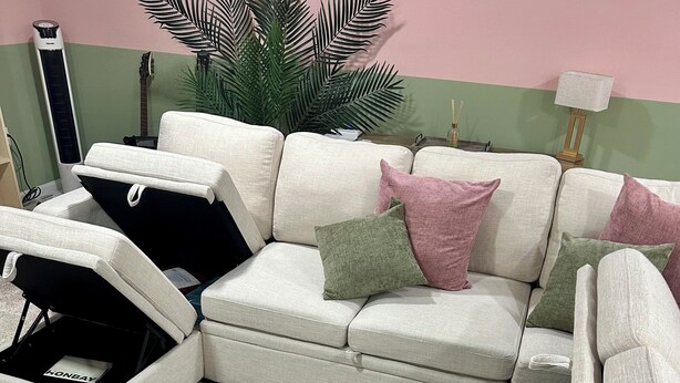 A sectional sofa with a storage ottoman, a large potted plant, and a lamp.