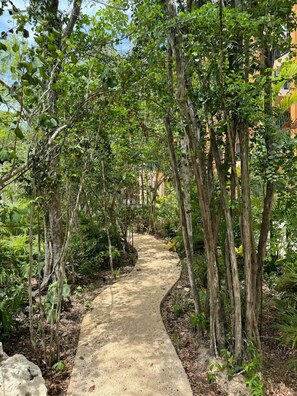 Áreas de la propiedad