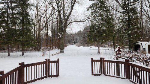 Peaceful 4-bedroom pet-friendly house with AC in charming Port Huron