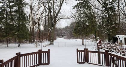 Peaceful 4-bedroom pet-friendly house with AC in charming Port Huron