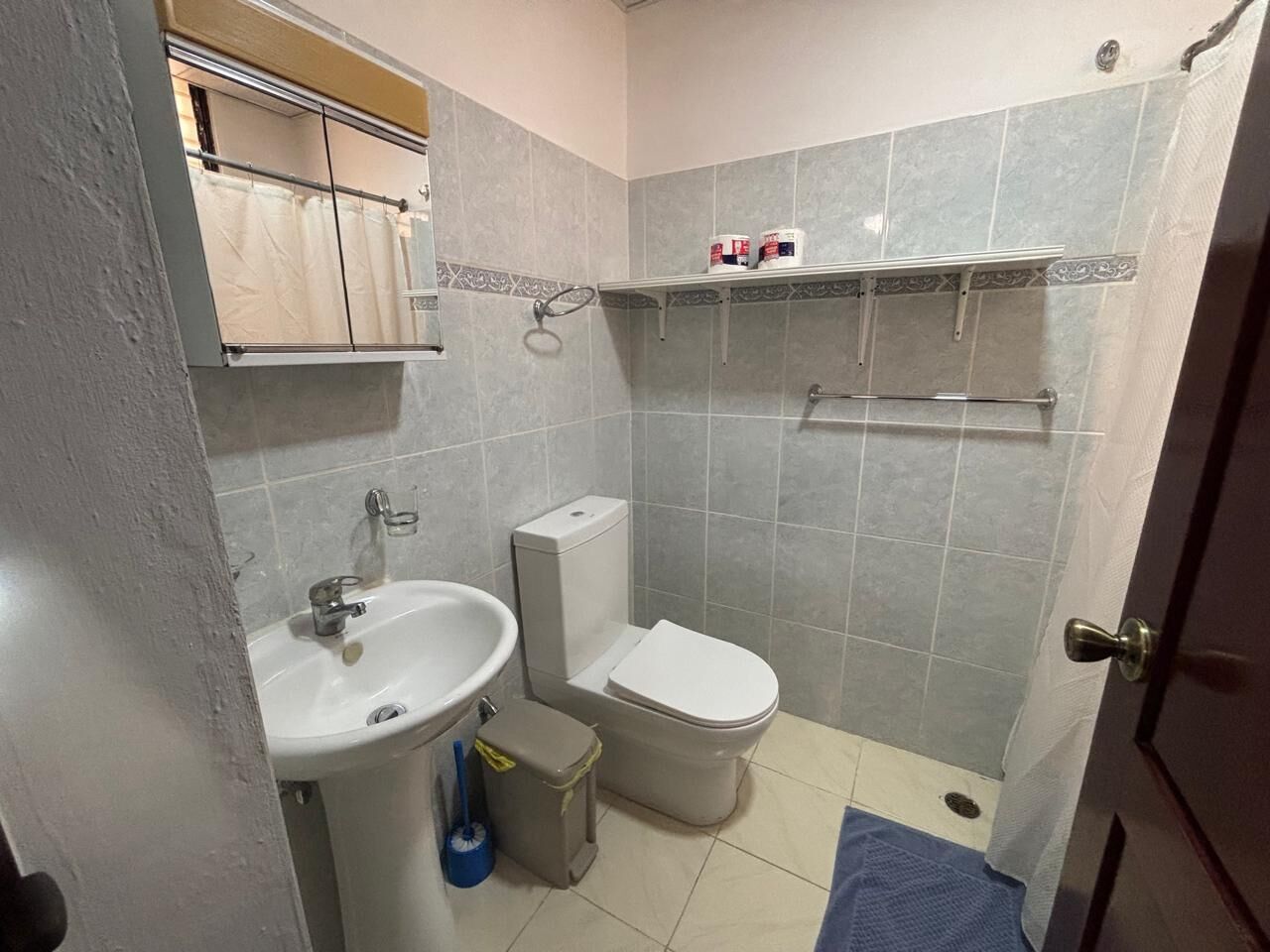 Een kleine badkamer met een wastafel, toilet en douchehoek.
