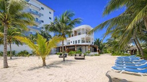 Une propriété située en bord de mer, dotée d’une piscine, de palmiers et d’un bâtiment avec des balcons.