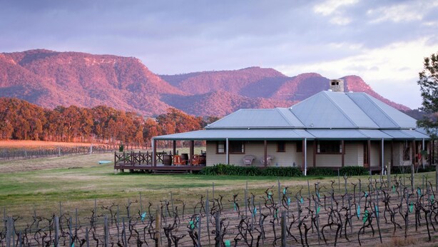 A vineyard with a house featuring a porch and a mountain backdrop. - Hanging Tree Homestead - vineyard views, nature & farm animals. Pet-Friendly! (Pokolbin)