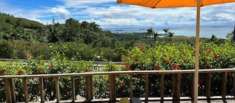 Cozy 1-bedroom studio on Capitol Hill Saipan with Ocean View, AC, Wifi