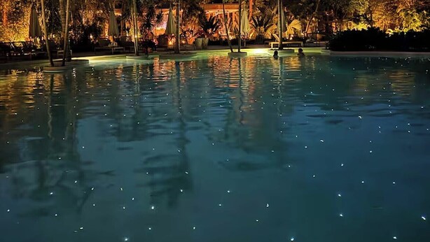 A nighttime view of a swimming pool surrounded by palm trees and lounge chairs, with a building in the background. - Luxury 3 BR w/prv Pool  Aflora (Tulum)