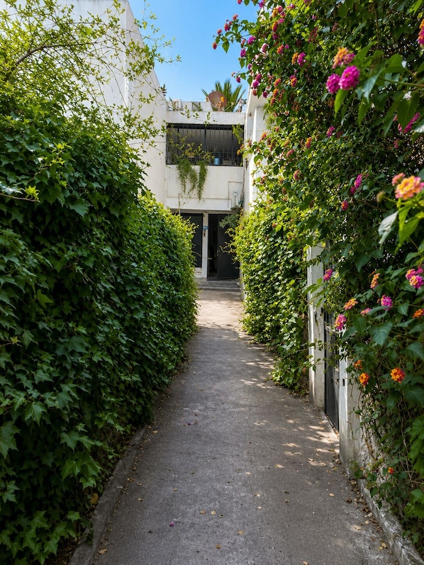 A narrow pathway flanked by lush greenery and flowering plants, leading to a building with a visible entrance.