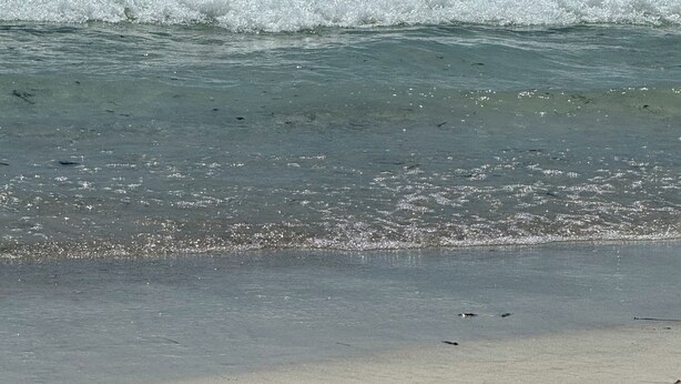 A beach with clear water, waves, and seaweed on the sand.