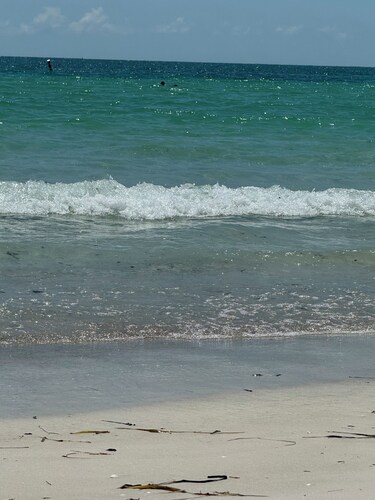 Serene 1-bedroom Cottage with Beach Access! "Where The Coast is Calling!"