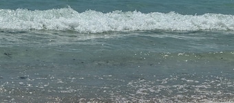 Serene 1-bedroom Cottage with Beach Access! "Where The Coast is Calling!"