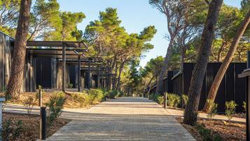 Uitzicht vanuit accommodatie