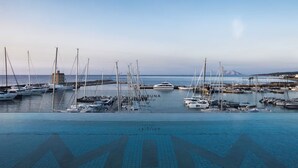Un puerto deportivo con varias embarcaciones amarradas, cielo despejado y una montaña en la distancia.