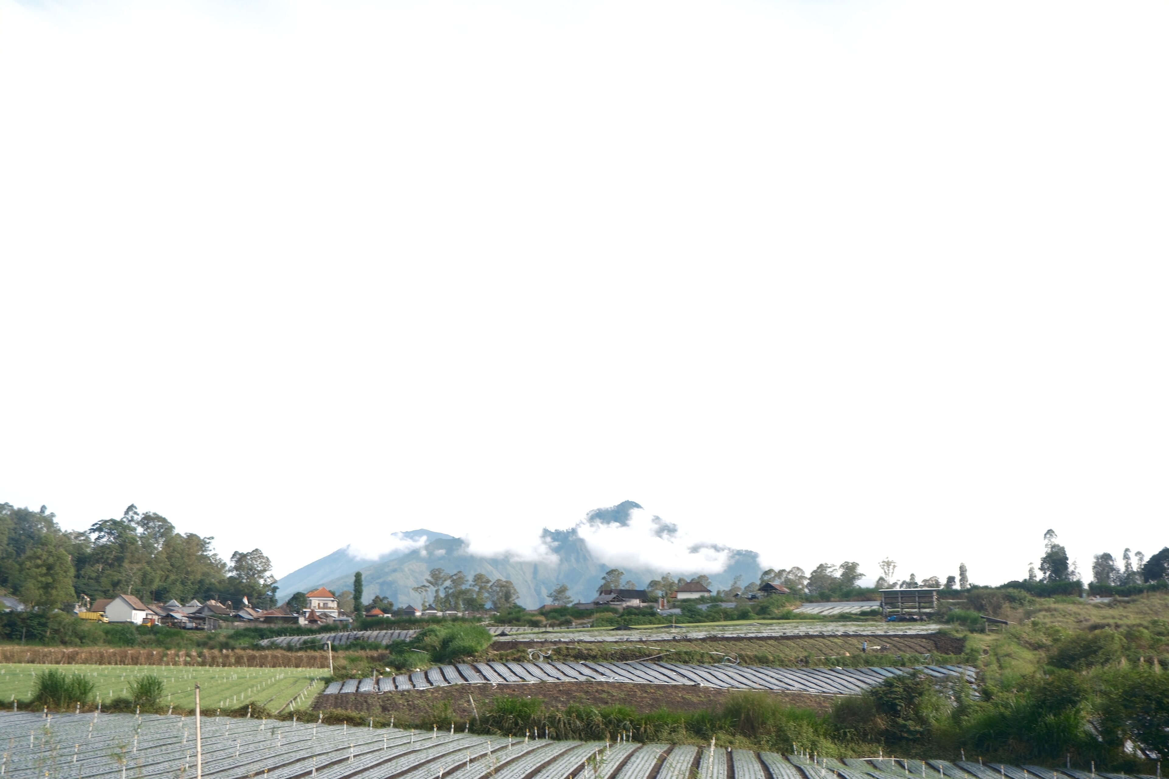 A rural landscape with terraced fields, a mountain in the background, and houses scattered across the terrain.