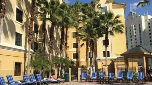 A hotel pool area with palm trees, blue lounge chairs, and a clear blue sky. - Beautiful Pool view -near Theme parks (Orlando)