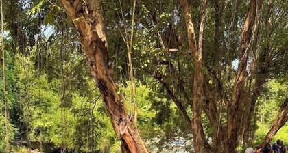 Puunee Wild River Resto & Villa's