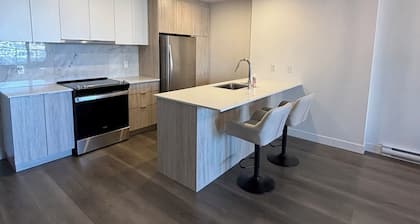 Beautiful 3 1/2 apartment offering a bright open-concept living space.