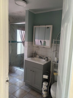 Un baño con ducha, lavabo, espejo e inodoro.