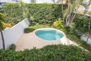 A swimming pool surrounded by lush greenery and a white wall.