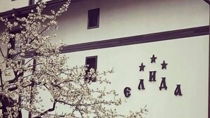 Un immeuble à plusieurs étages, doté d’une façade blanche, de moulures sombres et de nombreuses fenêtres. Devant l’immeuble, on aperçoit un arbre en fleurs, couvert de fleurs blanches.