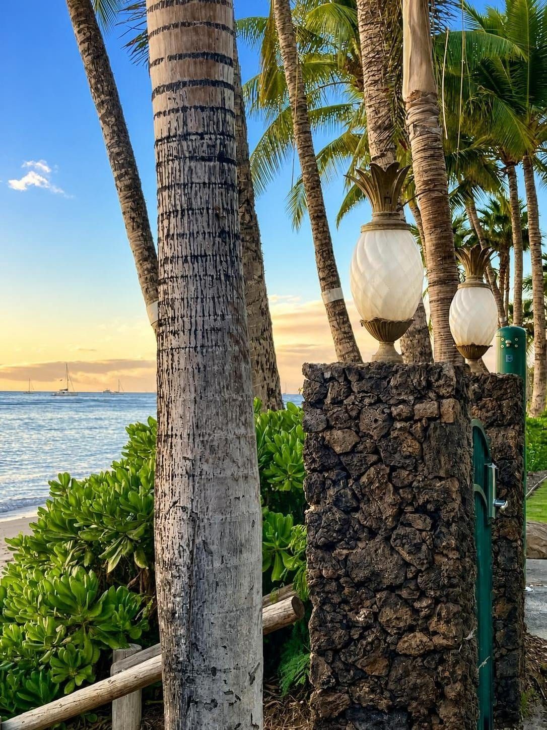 A coastal scene with palm trees, a stone wall, and a view of the ocean.