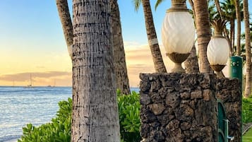 A coastal scene with palm trees, a stone wall, and a view of the ocean.