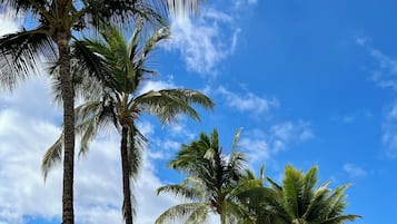 A white surfboard on a grassy area with palm trees and a view of the ocean.