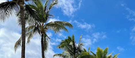 A white surfboard on a grassy area with palm trees and a view of the ocean.