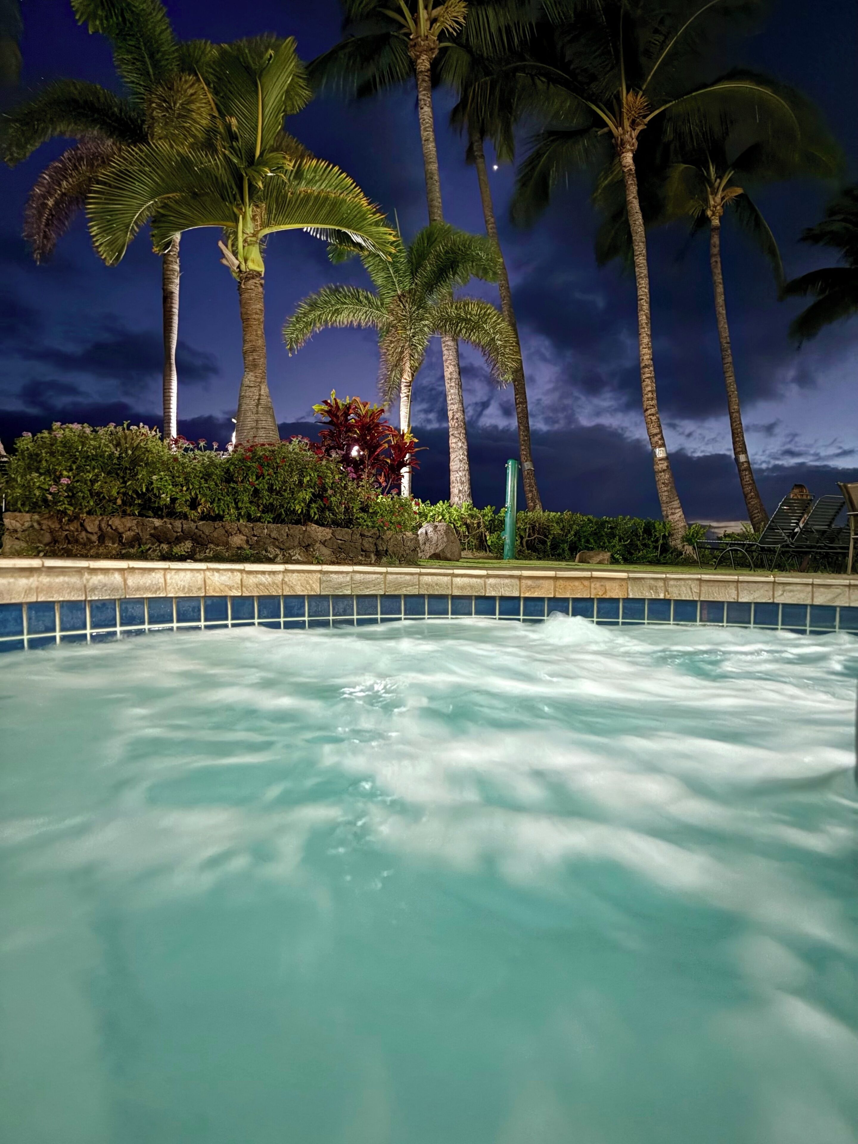 A pool with clear water, surrounded by palm trees and a stone wall.