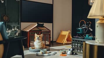 Deluxe-Stadtwohnung, 1 King-Bett, Haustiere gestattet, Blick auf den Innenhof | Kostenlose Minibar, Zimmersafe, Schreibtisch