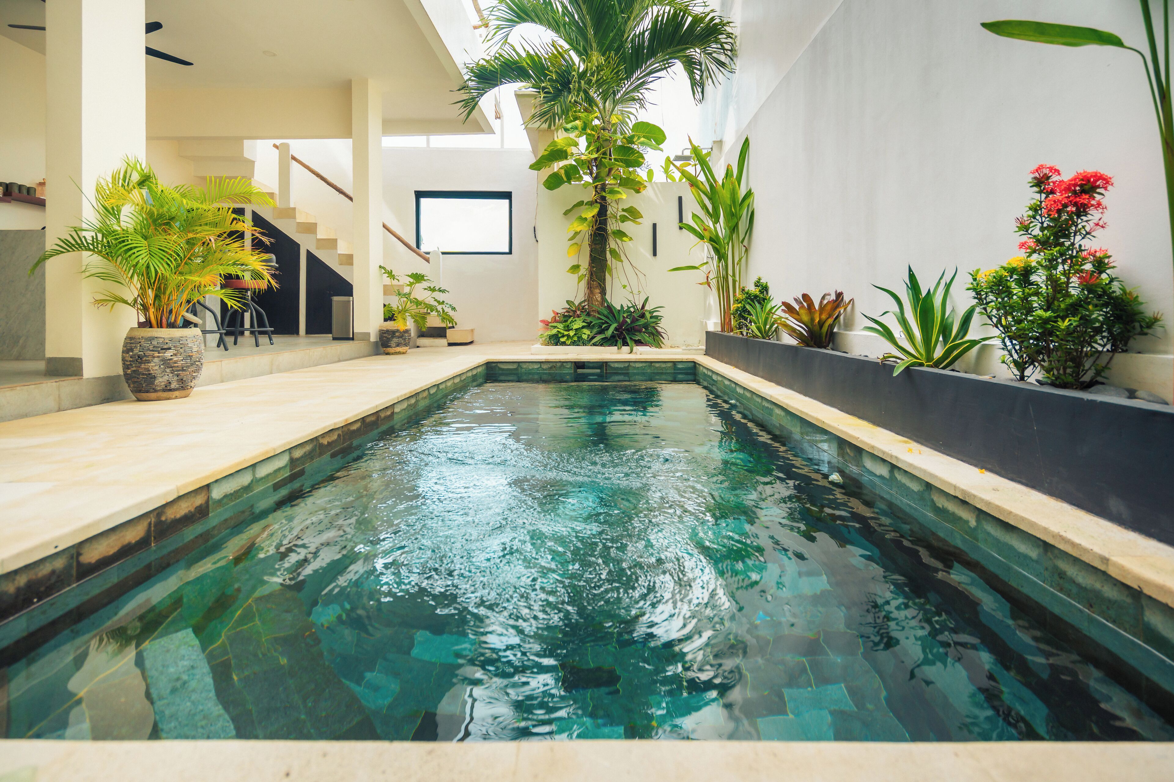 Outdoor pool, sun loungers