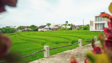 Utsikt fra overnattingsstedet