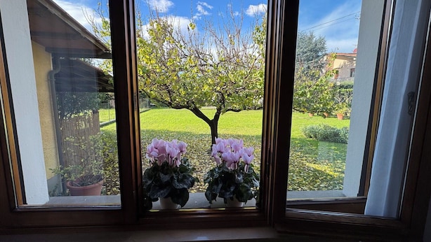 Una finestra vista su un albero e un prato.