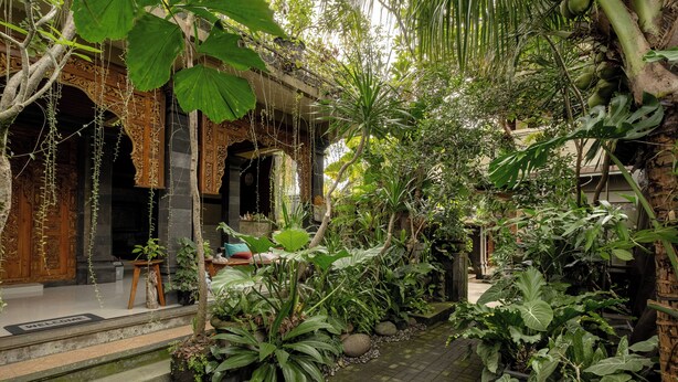 A lush indoor garden with a wooden archway, potted plants, and a stone pathway. - Togog Polos Ubud House (Ubud)