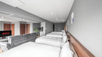 Iron/ironing board, free WiFi