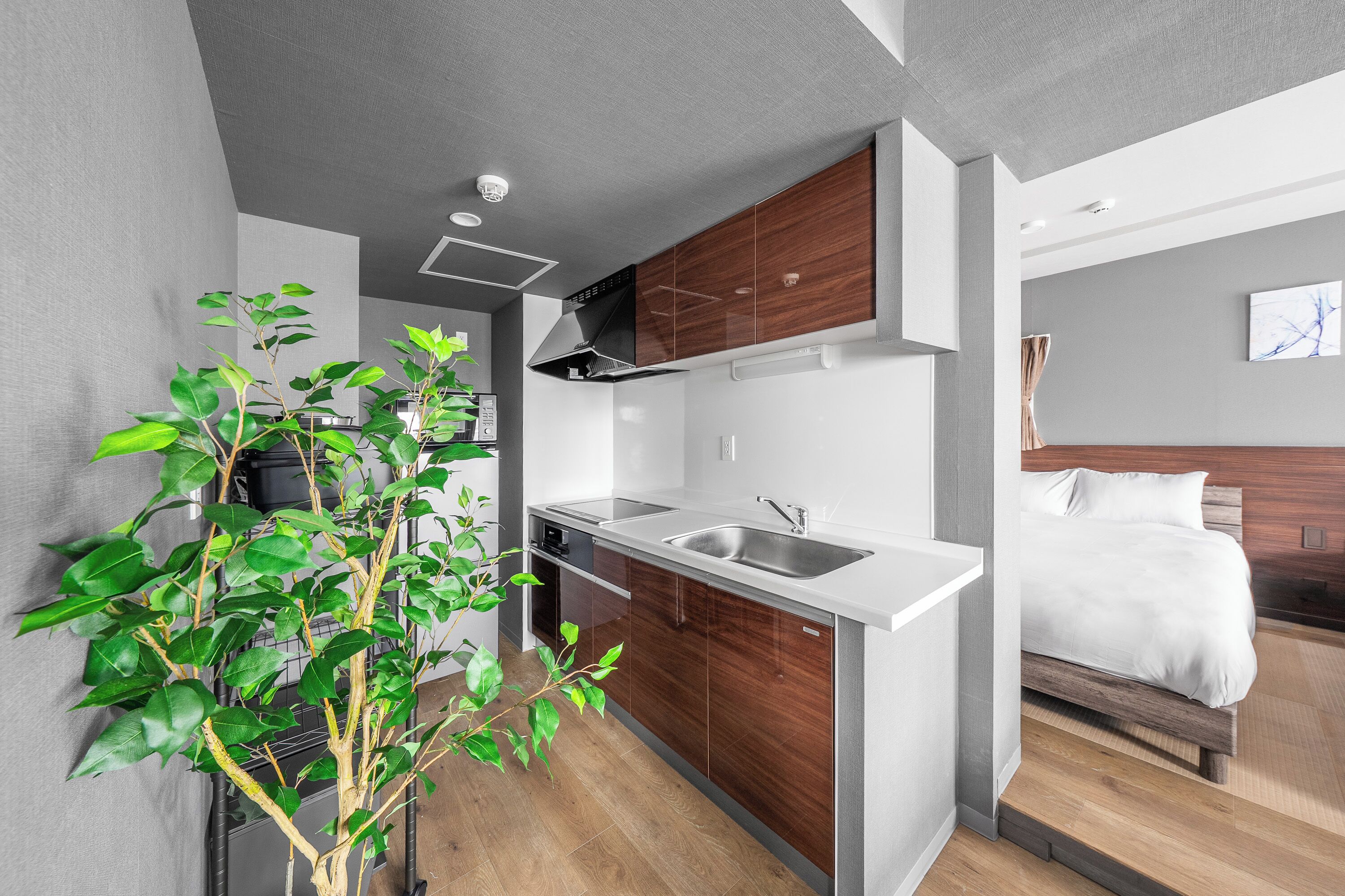 Fridge, microwave, stovetop, rice cooker