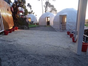 المنشأة من الخارج