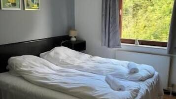 Iron/ironing board, free WiFi