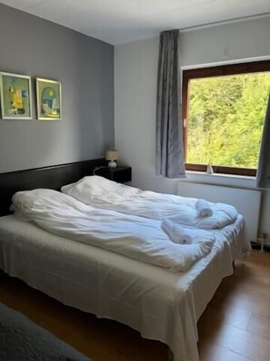 Iron/ironing board, free WiFi