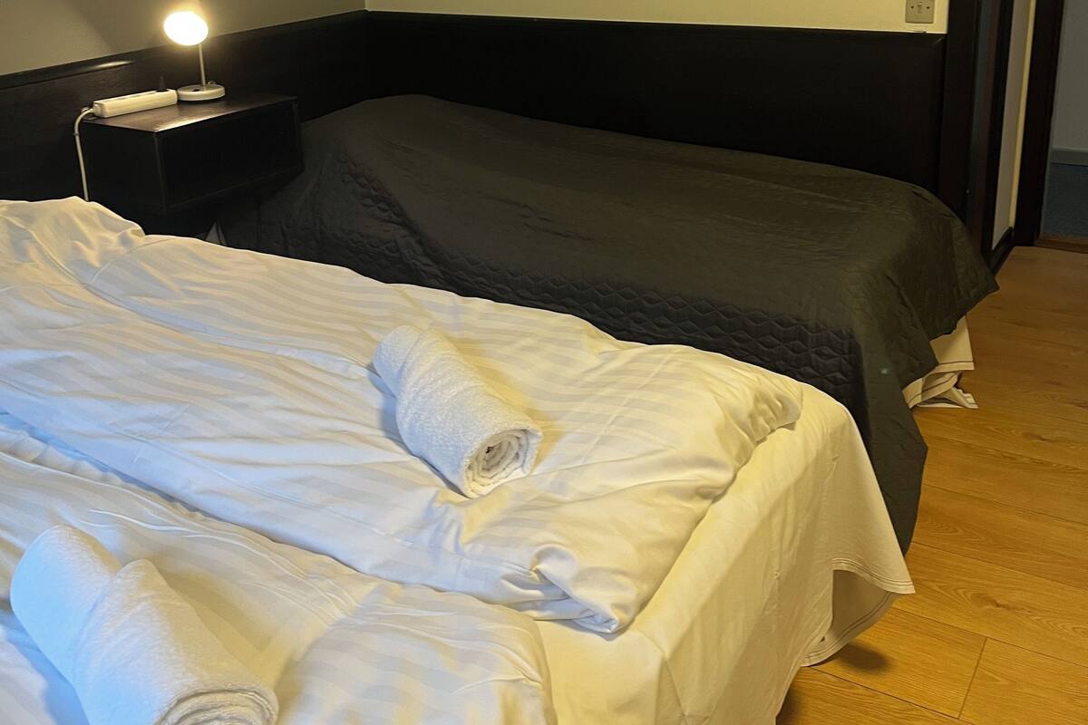 Basic Triple Room | Iron/ironing board, free WiFi