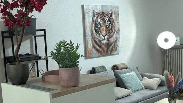 A living room with a grey sofa, a painting of a tiger, a potted plant, and a radiator. - Emsquartier 2 (Emsdetten)