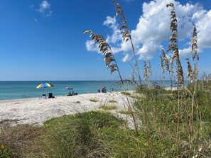 Beach - Bayfront views, Walk to Turtle Beach, 2 Heated Pools, 5th Floor Corner, Private (Sarasota)