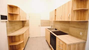 Basic Apartment | Private kitchen | Oven, stovetop, cookware/dishes/utensils