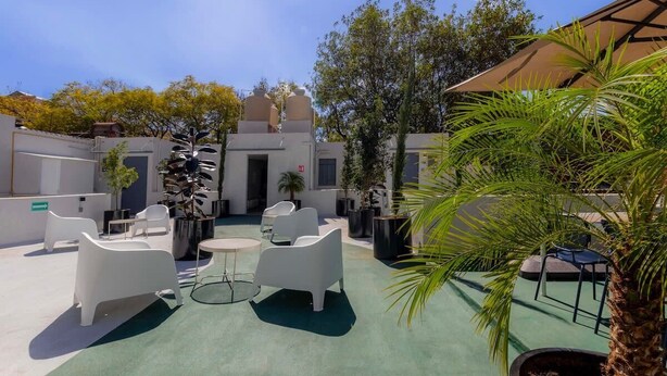 Eine Außenpatio-Terrasse mit weißen Stühlen und Tischen, umgeben von Topfpflanzen und Bäumen.