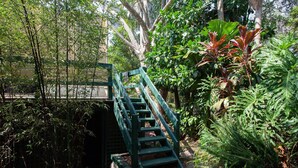 Uma escadaria de madeira leva a uma ponte sobre um pequeno curso d'água, em meio a vegetação exuberante e diversas plantas.