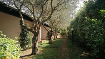 Parco della struttura