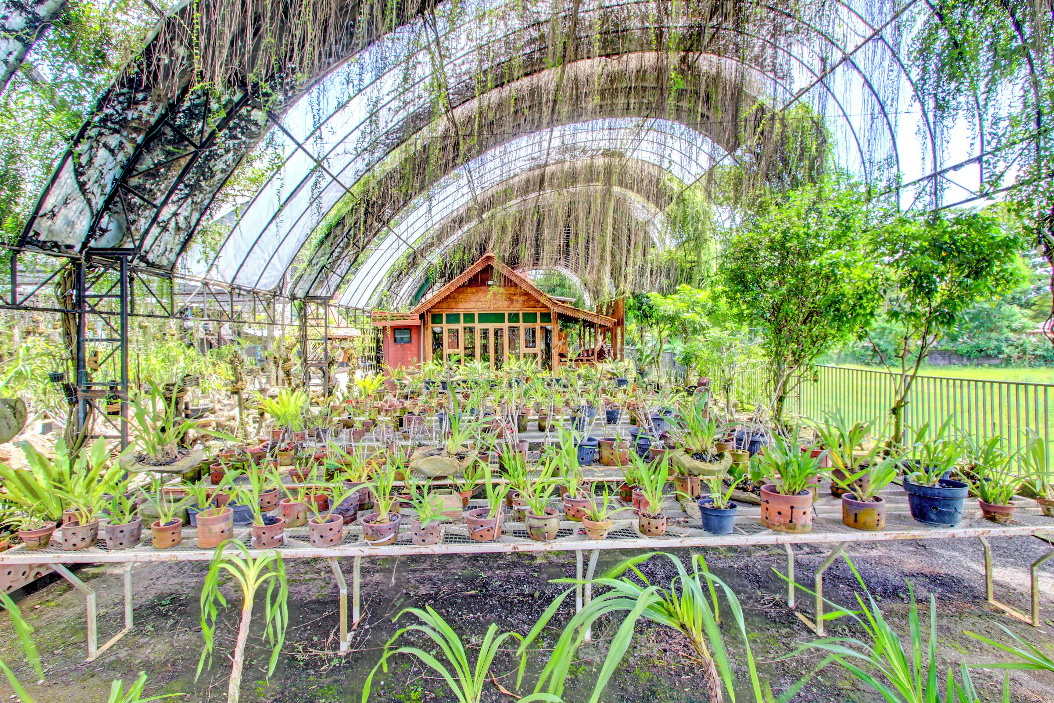 Detalle del interior